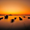 사궁두미 이미지