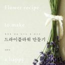 드라이세상 이미지