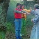 홍콩 간 여우 이미지