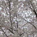 별내체육공원 이미지