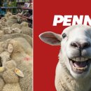 양떼마트 이미지