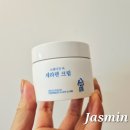 비스테이션 | 스테이션비 세라렌크림 후기 🌿 EGF 재생크림 효과로 피부장벽 강화 & 진정보습