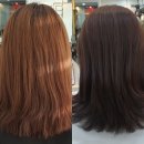 하대동279 | 진주미용실, 하대동염색 미용실 리하벨헤어 - 톤다운 + 레이어드컷 후기