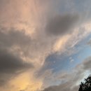 영옥이네 뒷고기 | 04