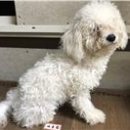 쌍미천로 이미지