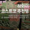 하와이 코스트코 추천템 총정리2주 여행하며 직접 사먹은 쇼핑리스트 후기