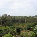 영락목장 이미지