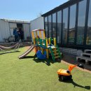 하빛율빠꿈사리 이미지