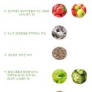 올가라인닥터큐