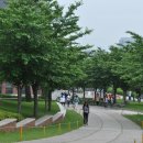 계명대학교 대명캠퍼스 이미지