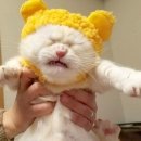 (주)캔디여행사 이미지