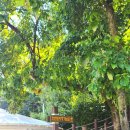 한반도지형 주차장 화장실 이미지