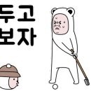 영골프스크린 이미지