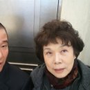 심기수 Daum카페