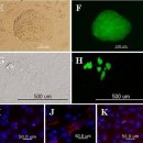오늘의 포토뉴스[08/02/02] 이미지