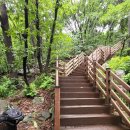 용문산마을 | 양평 용문산 백운봉 등산코스 I 왕복 5.4 km 총 3시간 30분 소요