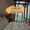 애견하우스 | 인천 영종도 애견 동반 레인보우하우스 숙소 후기