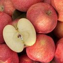 내산농장 이미지