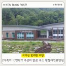 홍천읍사무소 이동식화장실 | 평창 휘닉스파크 근처 가족 숙소 | 평창자연휴양림 자작나무 201호 이용 후기