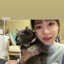율스토리 이미지