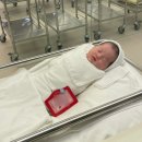 주식회사 봄날산후조리원 세종점 | [세종] 무튼이 태어난 첫날! 세종 트리니움 산부인과 / 봄날 산후조리원 후기