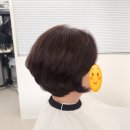 아일랜드 고현점 네이버블로그