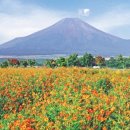 한국SGI 앞 이미지