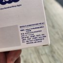 곰찌 | 168cm 귀여운맥세이프그립톡 갤럭시 아이폰맥세이프도 문제없이