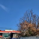 법무법인상림 | [충남] 공주 마곡사