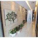 울산화이트치과의원 이미지