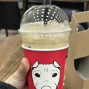 롤피(LOLFFEE) 이미지