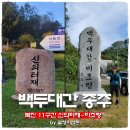 백두대간 종주 북진 11구간 신의터재~비조령 (무지개산, 윤지미산, 화령재, 상주 봉황산)