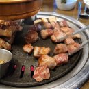 서해쭈꾸미 이미지