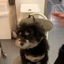 만남 | 홍대 만남살롱 로테이션소개팅 솔직후기