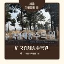 솔향수목원(전시온실) | 세종 가볼만한 곳 추천 국립세종수목원 사계절전시온실 방문 후기