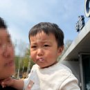 우리목장 | 아기랑 평창, 아기랑 대관령 하늘목장 방문 후기