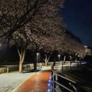 자전거쉼터 이미지