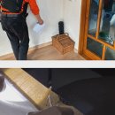 수성다듬이 이미지