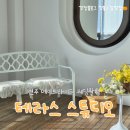 샵테라스 | 원주 단계동 토탈웨딩샵 메이브라이드 웨딩 촬영 후기, 테라스 스튜디오