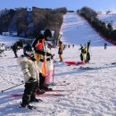 행복한정비샵 | 홍천 비발디파크 스키강습 렌탈샵 예약