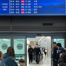 조아스투어 | [워홀일상]D+1~4 핫바리 등장이요