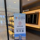 함께장례전문서비스 | 동물장례식장] 전주 반려동물 장례식장 아리움 :: 아리움에서 함께한 따뜻한 이별, 전문 장례서비스 후기 🐾