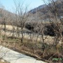 곰배령황토펜션 이미지