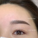 데일리샵 이미지