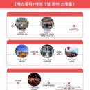 트립 [예스폭지+야경]대만버스투어 12시 코스 시먼역/메인역 탑승 후기 | 대만 패키지 내돈내산 가족여행