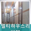 멀티하우스리빙텔 - 관악구 신원로 13 | 멀티하우스리빙텔