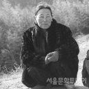 장터이야기 이미지