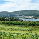 피스테라 이미지