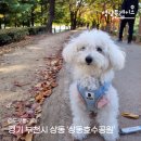 수피아C동 | [공지] 벌써 추워진다니🥲막둥이랑 단풍 구경 서둘러요🍁