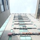 주례성모안과 네이버블로그